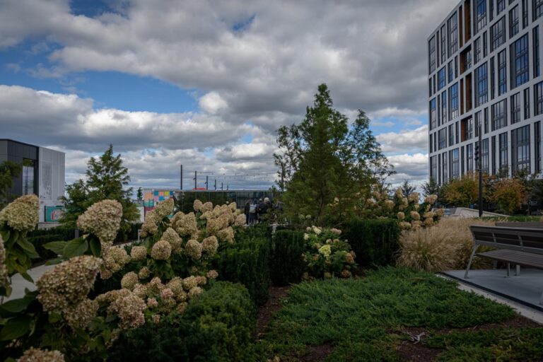 Capital One Skypark photo